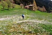 06 Coloratissima distesa fiorita sui prati della Pigolotta 